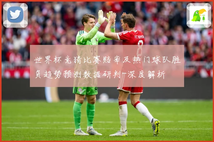 世界杯竞猜比赛赔率及热门球队胜负趋势预测数据研判-深度解析
