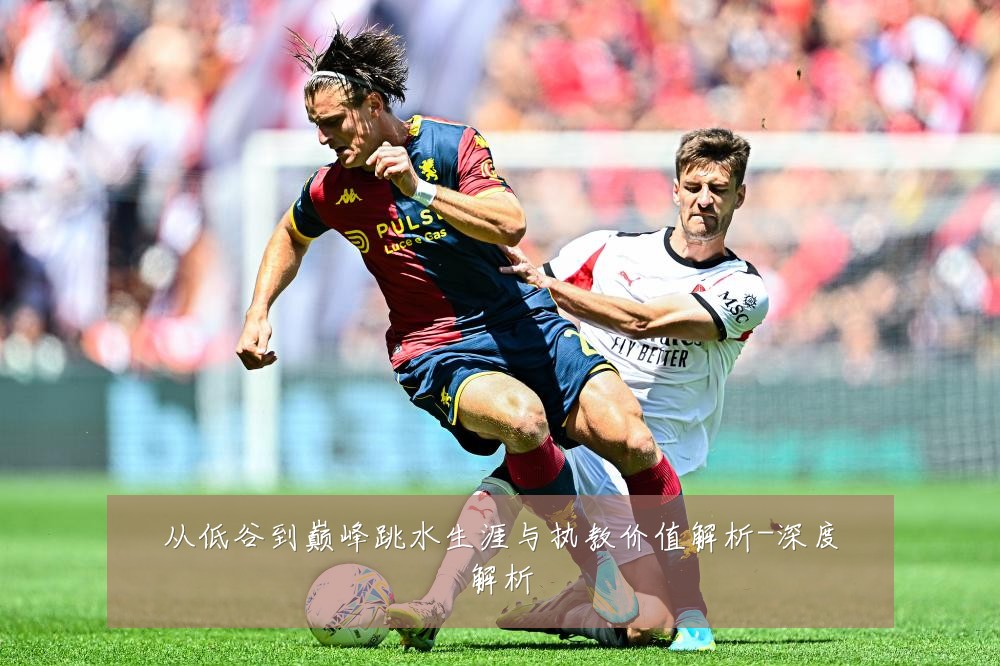 从低谷到巅峰跳水生涯与执教价值解析-深度解析
